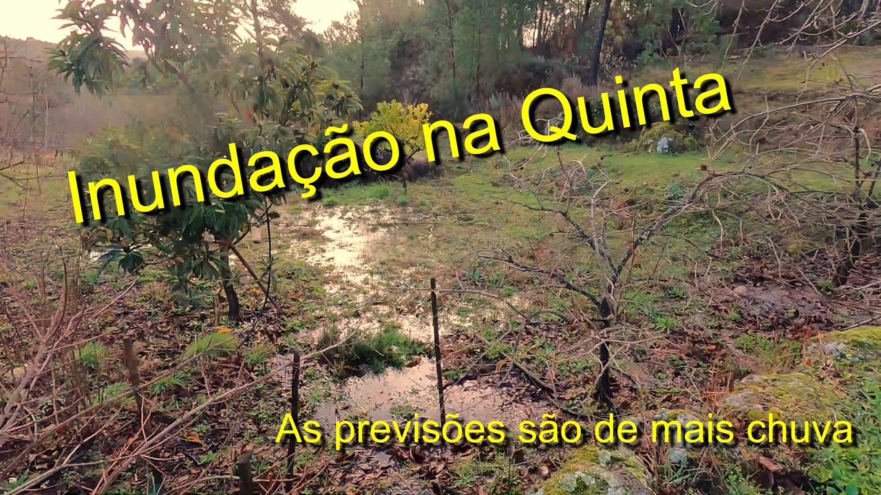 Inundação na Quinta