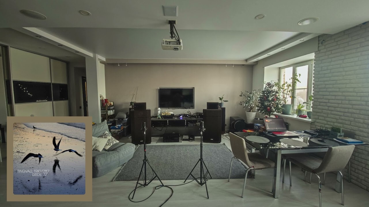 2026-03-08 Воскресение Tingvall Trio - Humming Bird