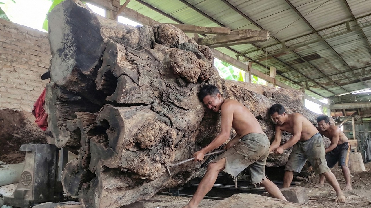 MONSTER LOG vs Industrial Sawmill – Extreme Wood Cutting Process