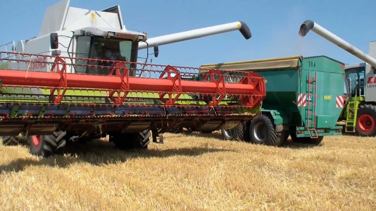 Claas Lexion 480- 760- 770 TT bei der Gerstenernte 2013