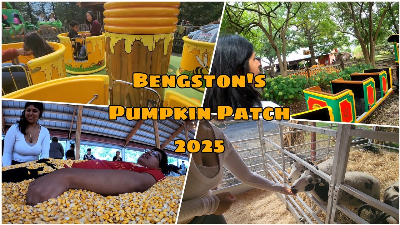 Adventure to Bengston's Pumpkin Patch 2025 in Homer Glen, IL