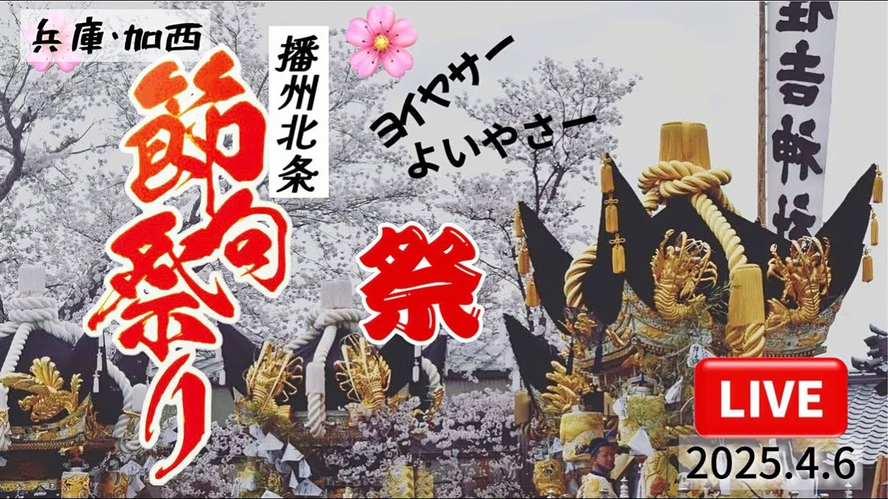 LIVE🔴配信｜播州北条節句祭り🎎 Hojo sekku matsuri兵庫・加西市2025.4.5 16時〜