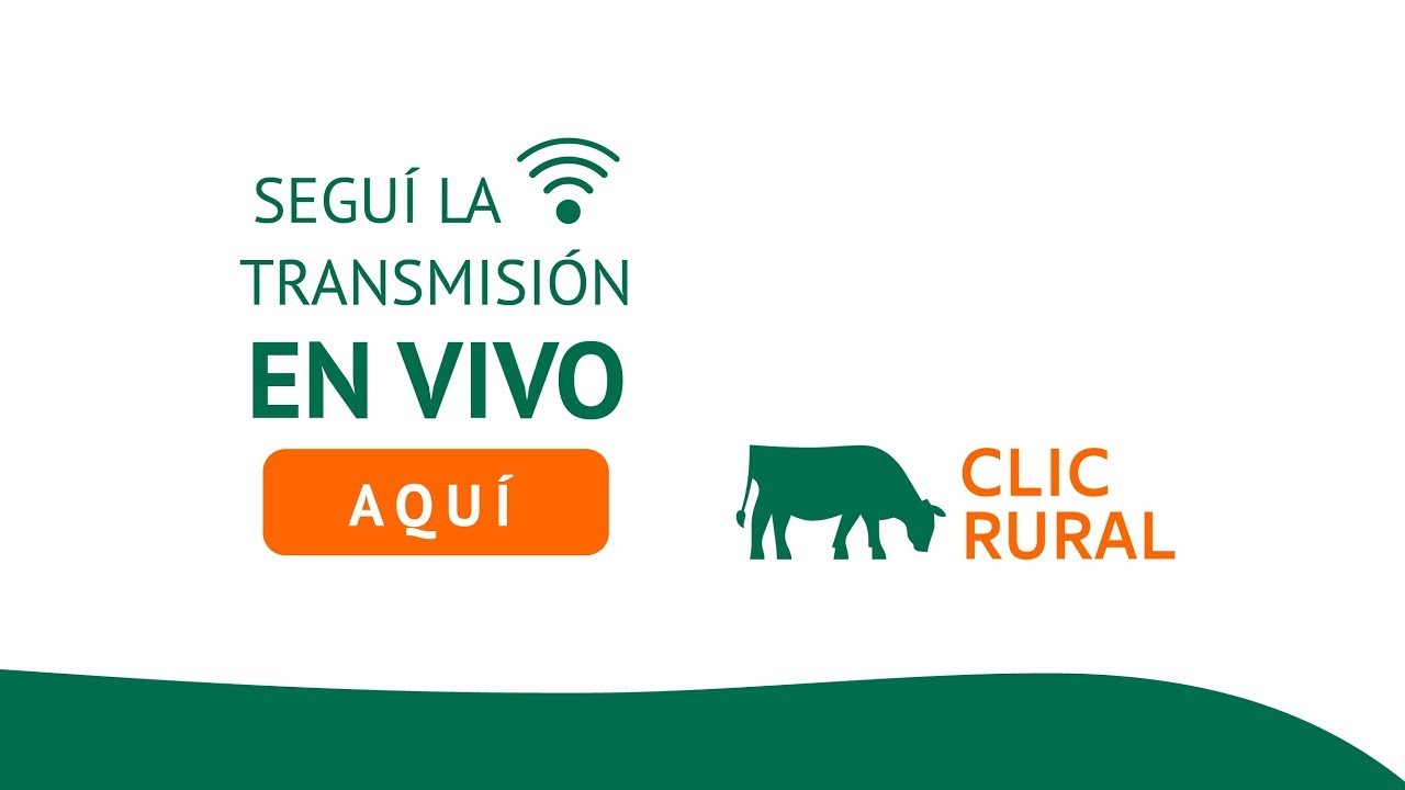 19/01/2026 - Remate Haciendas Generales - Alejo Ledesma, Córdoba - Ariel Saenz y Cía