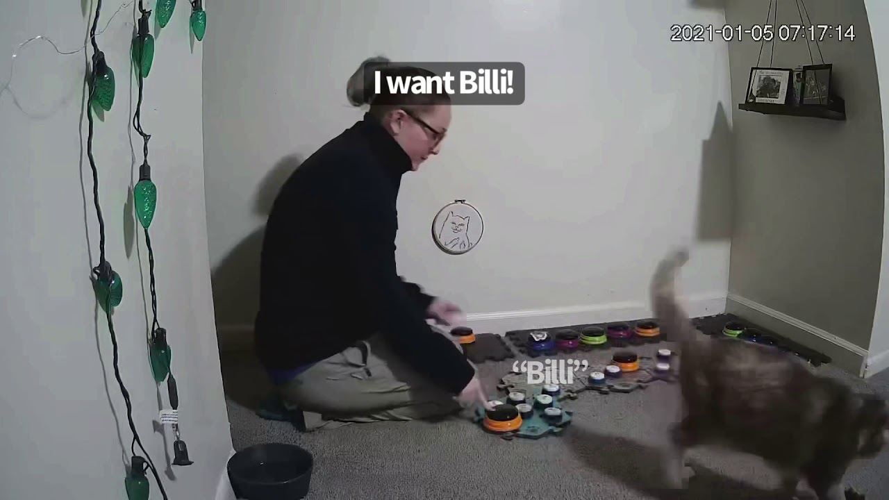 Want Mom