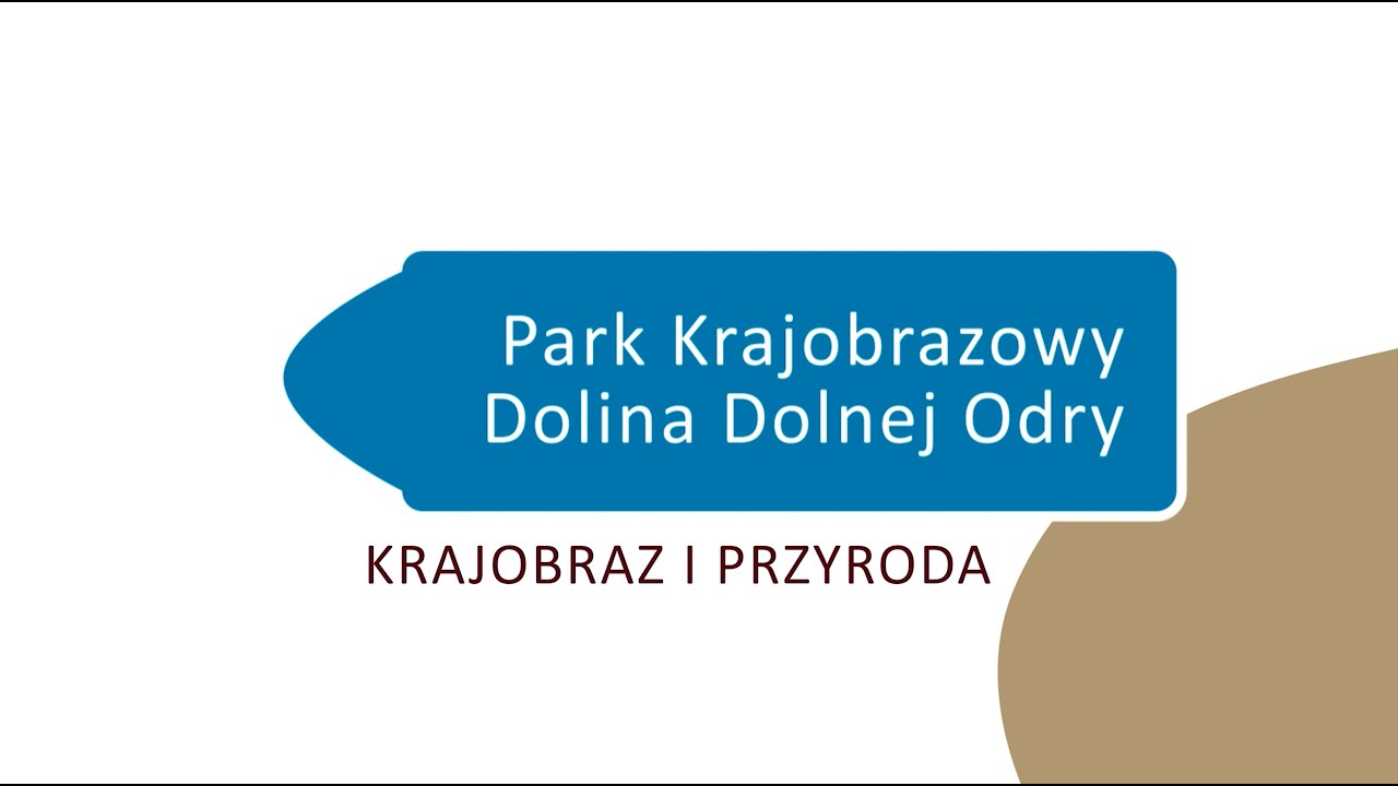 Park Krajobrazowy Dolina Dolnej Odry   krajobraz i przyroda