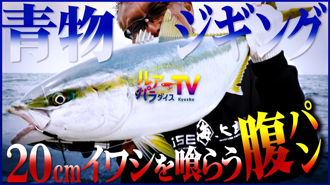 【青物一本狙い！】ジグを巧みにアジャストさせブリ・ヒラマサを狙う！【ルアパラTV】