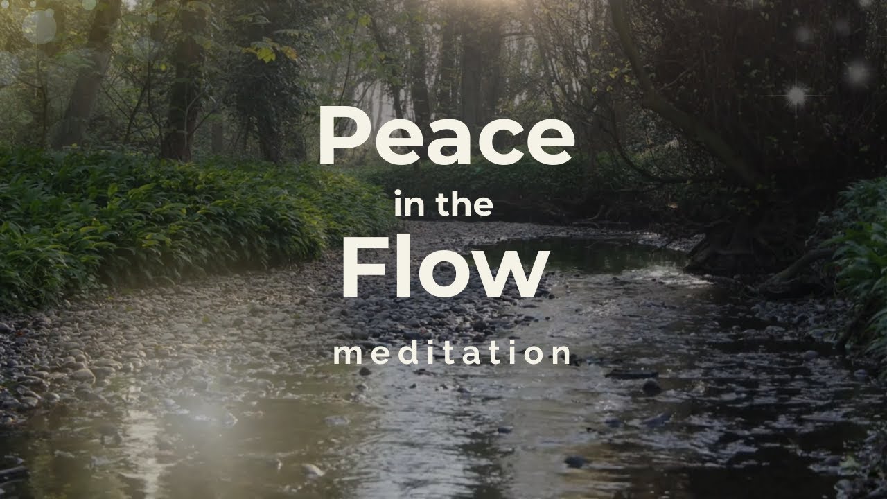 Finding Peace in Life’s Unfolding Plan