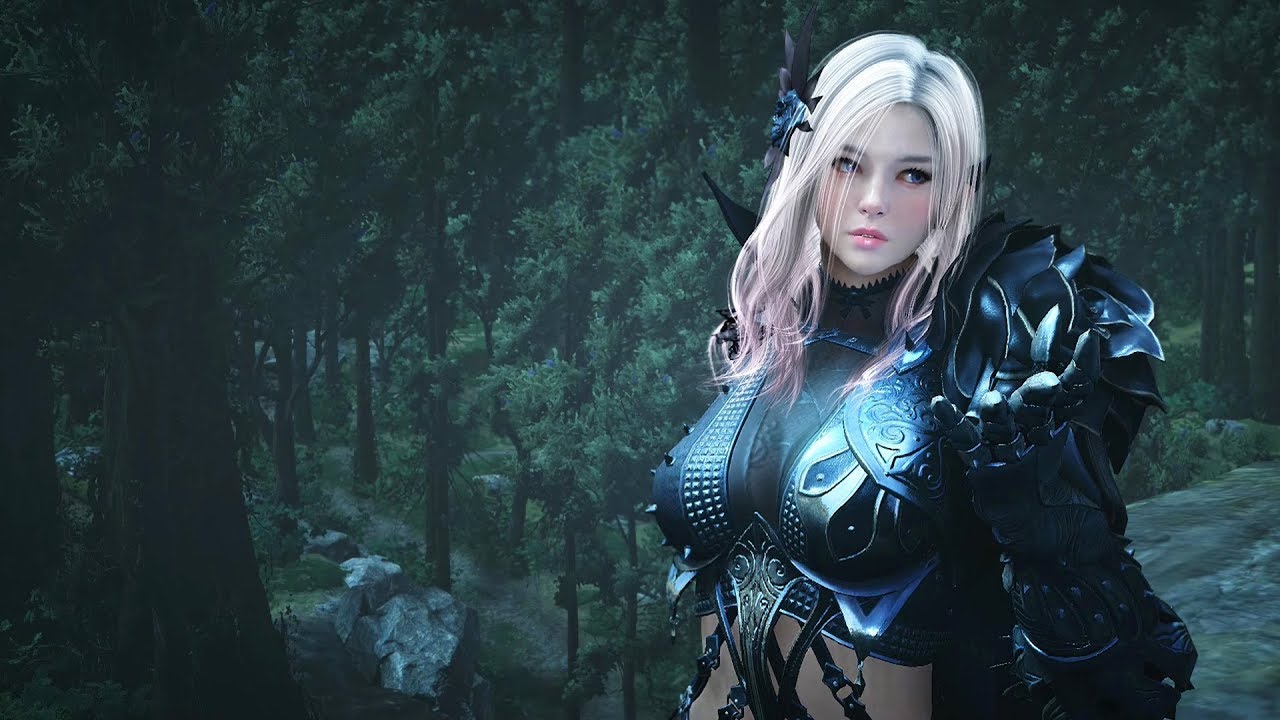 Black Desert Online Dark Knight VS Ninja 500gs