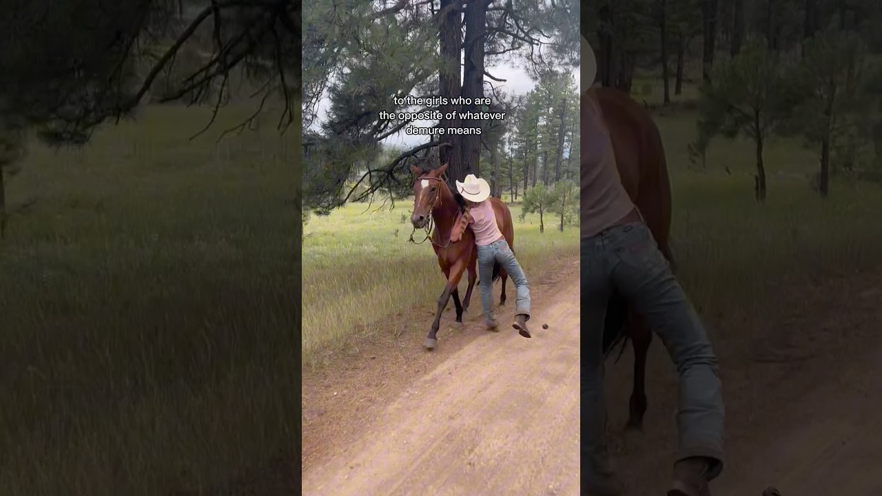 ✨✨✨#cowgirls #wrangler #horseranch #coltstarting #western