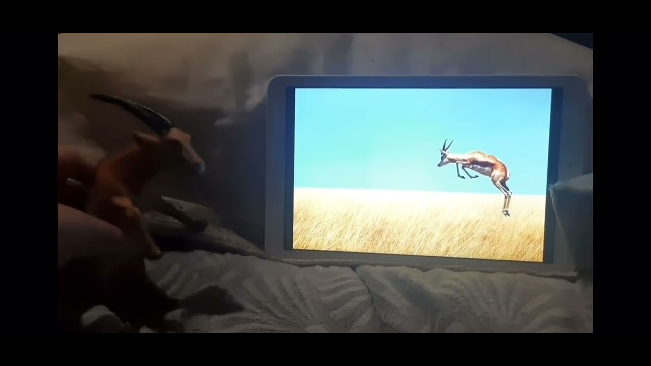 meet the animals 104: antelope hates the g major 16 120 powers more!!!￼￼