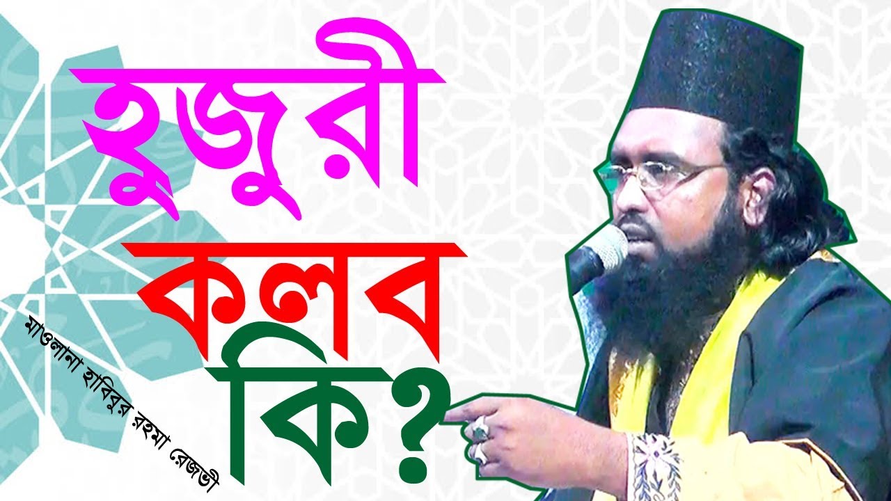 মাওলানা হাবিবুর রহমান রেজভী ।। নতুন ওয়াজ  by Biplob media ।। 01715261408