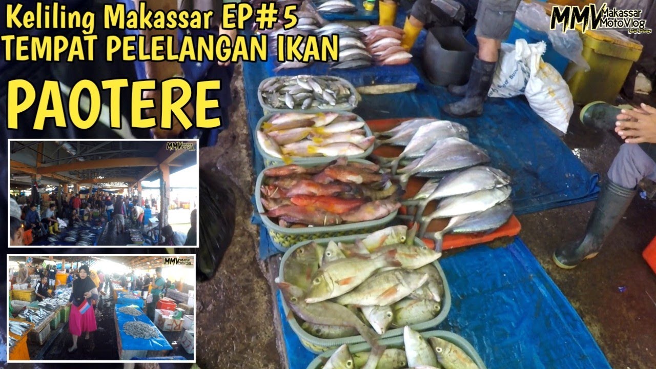 KELILING MAKASSAR EPISODE 5 TEMPAT PELELANGAN IKAN PAOTERE