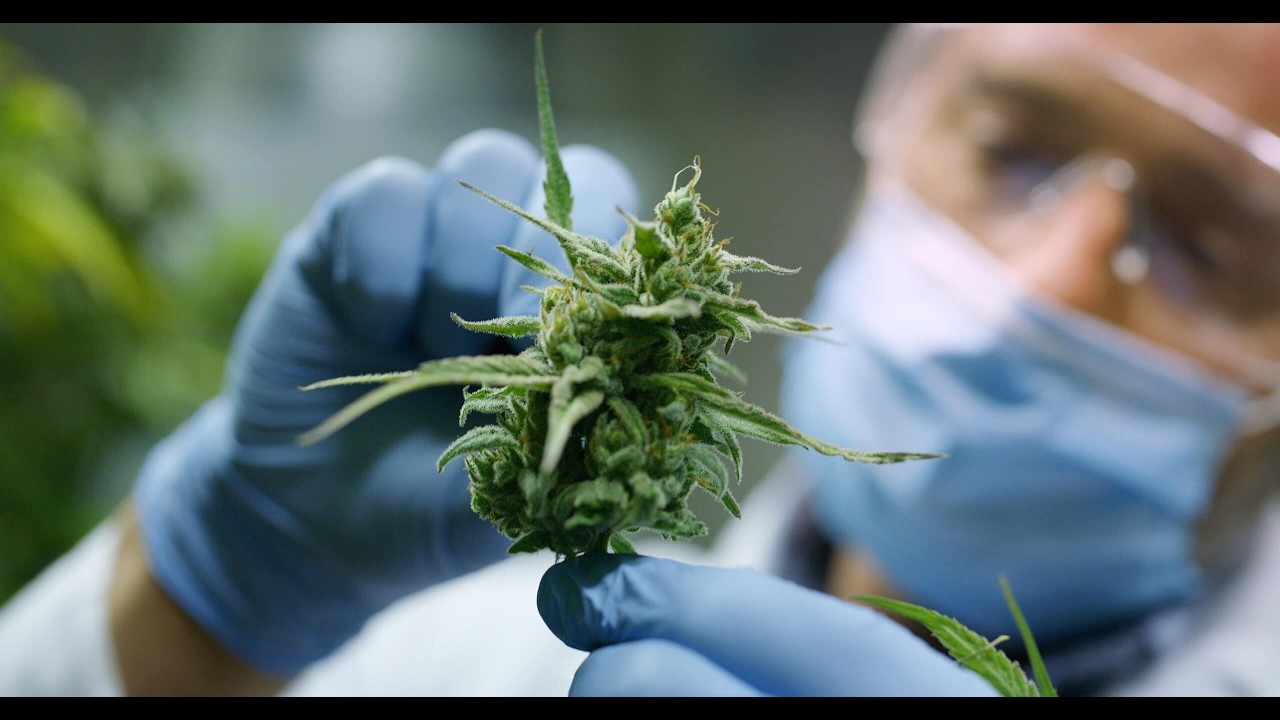 The Botany of Desire Full Documentary