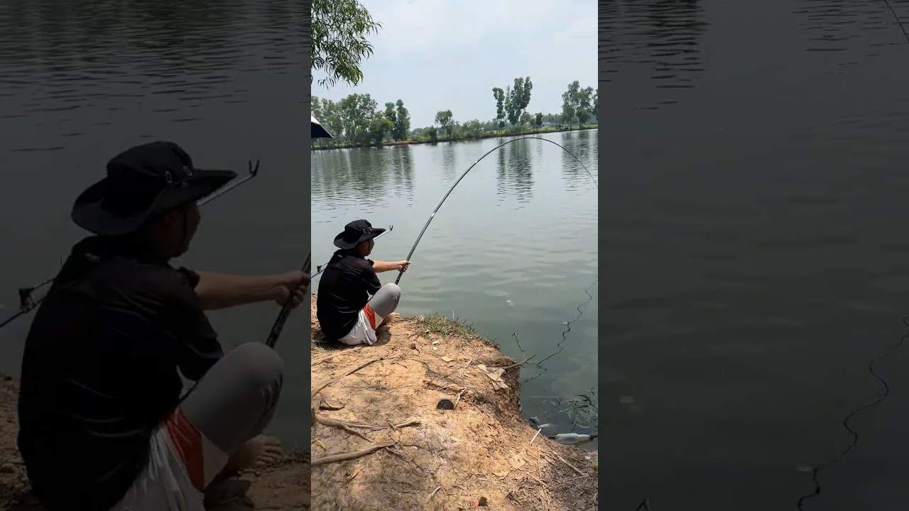 Điểm n&agrave;y c&aacute; lớn cảm gi&aacute;c #anfishing1610 #cauca #fishing