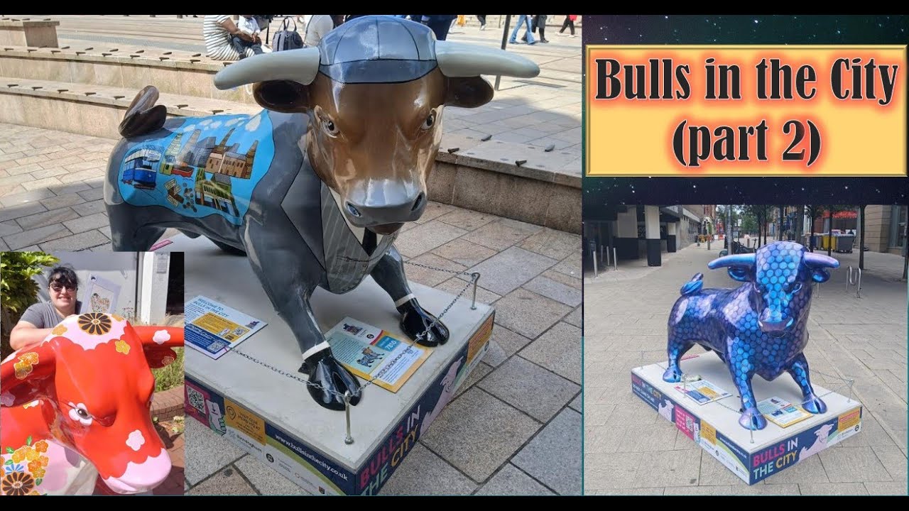 Bulls in the City (part 2)