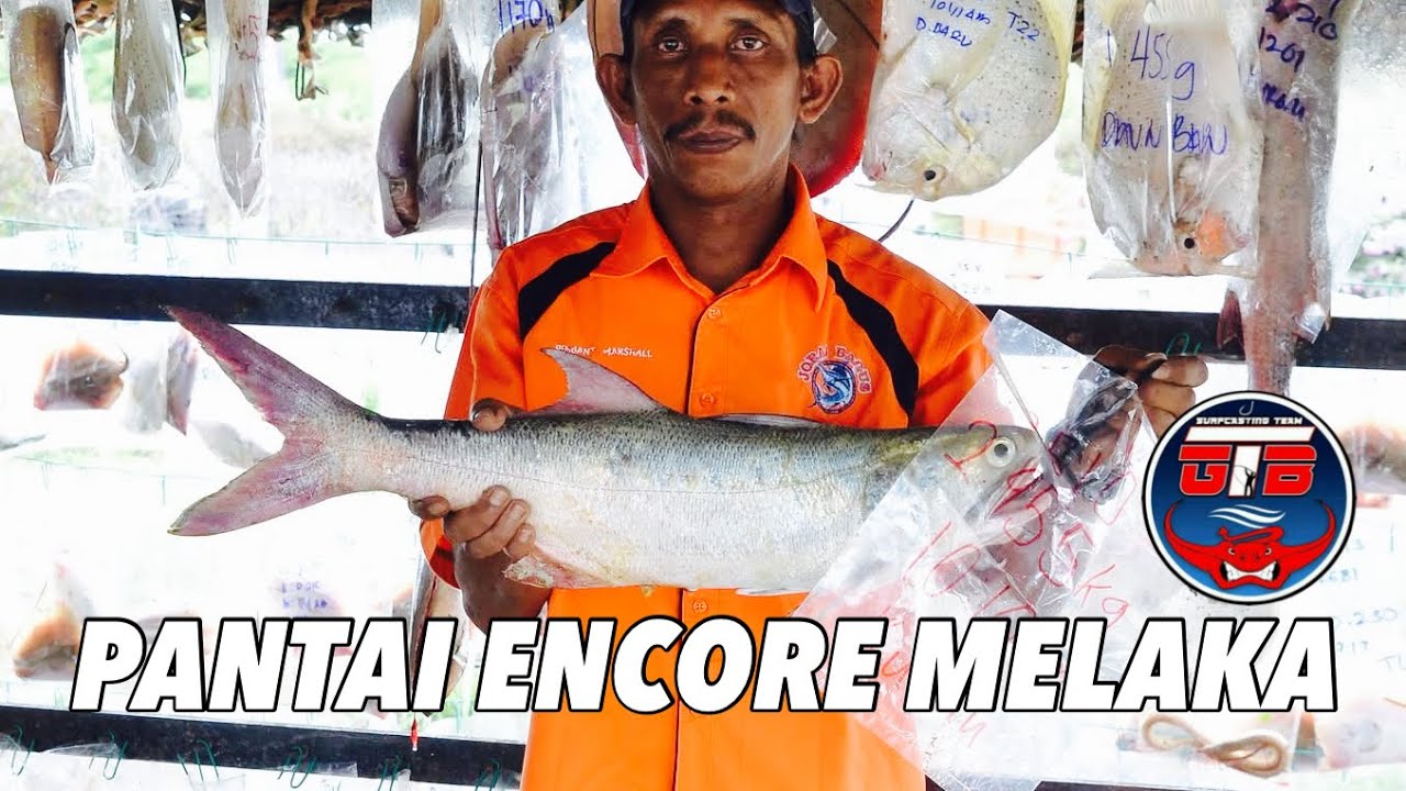 Pantai Encore Melaka di huni ikan2 mega