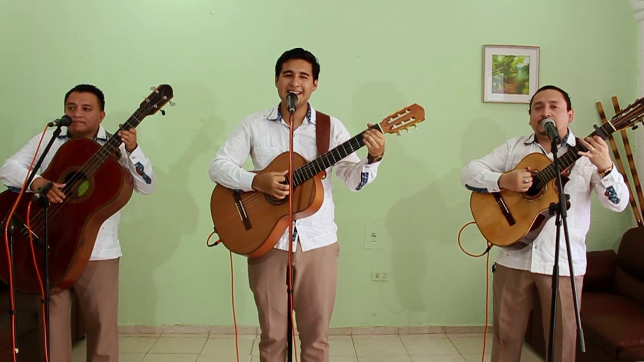 El rosal enfermo