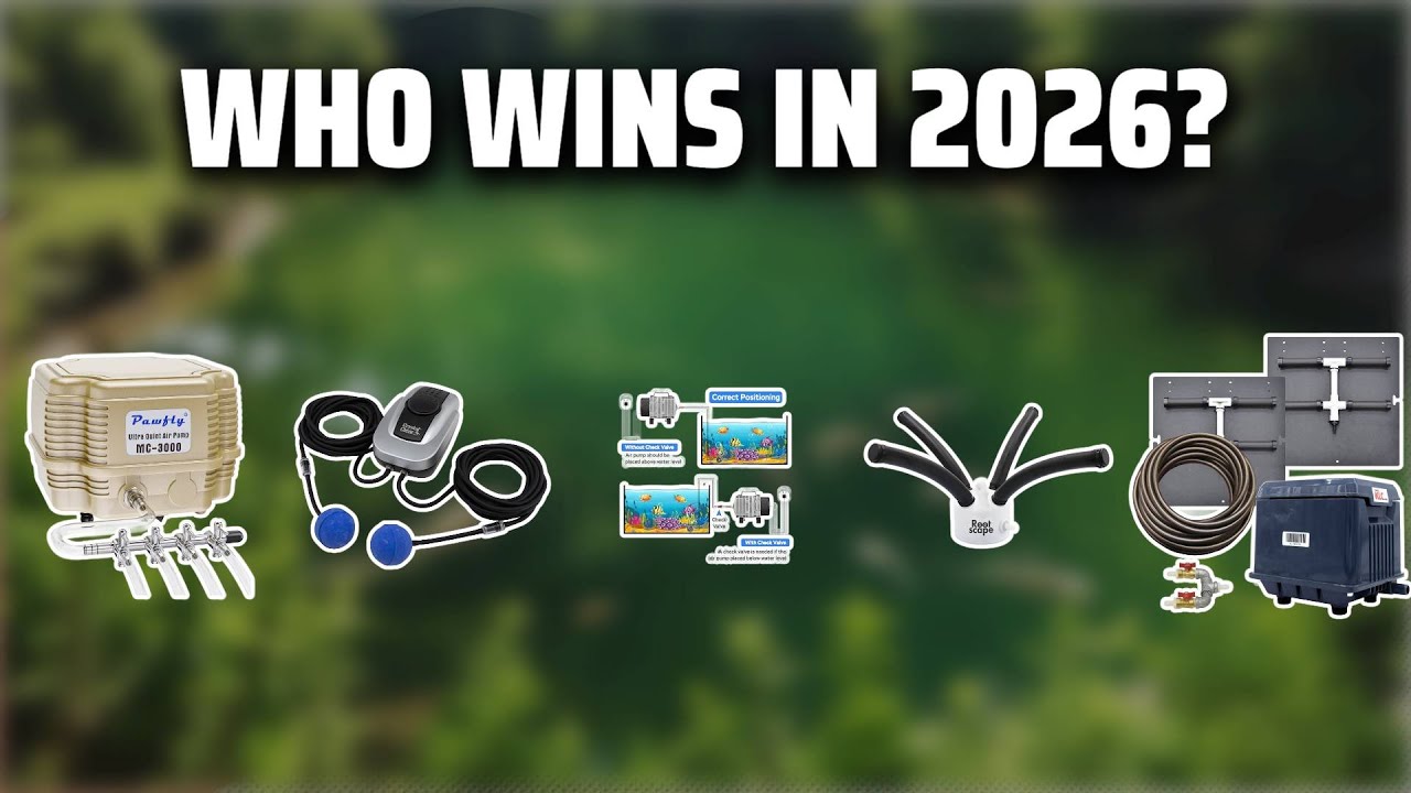 The Top 5 Best Fish Pond Aerator in 2026 - Must Watch Before Buying!