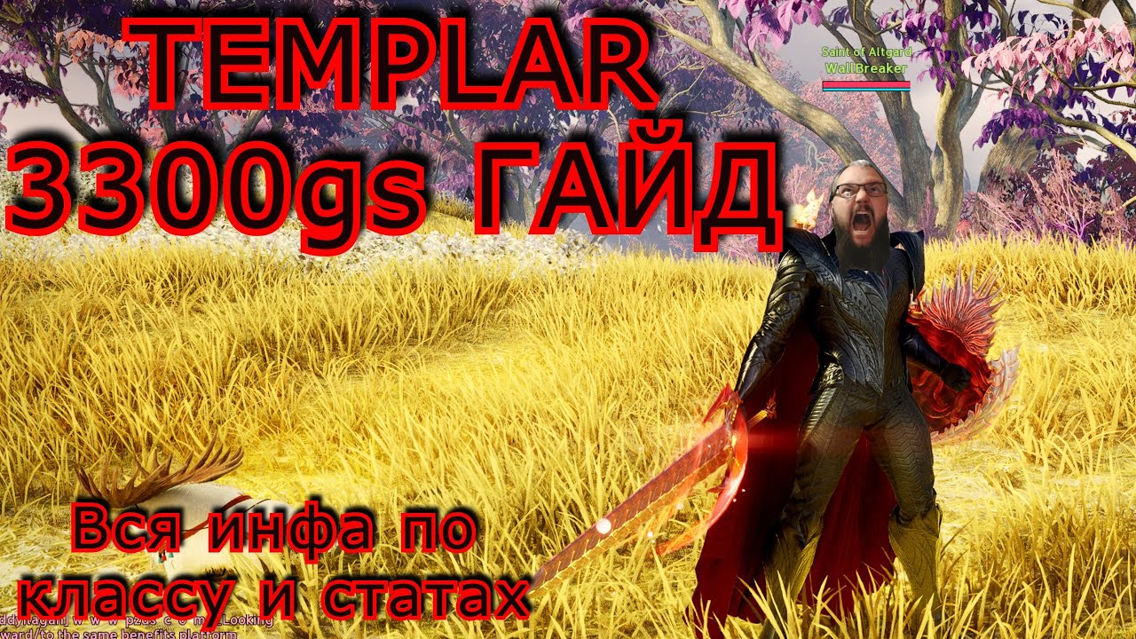 AION 2 : Templar 3300gs ГАЙД! (все механники все шмотки все статы!)
