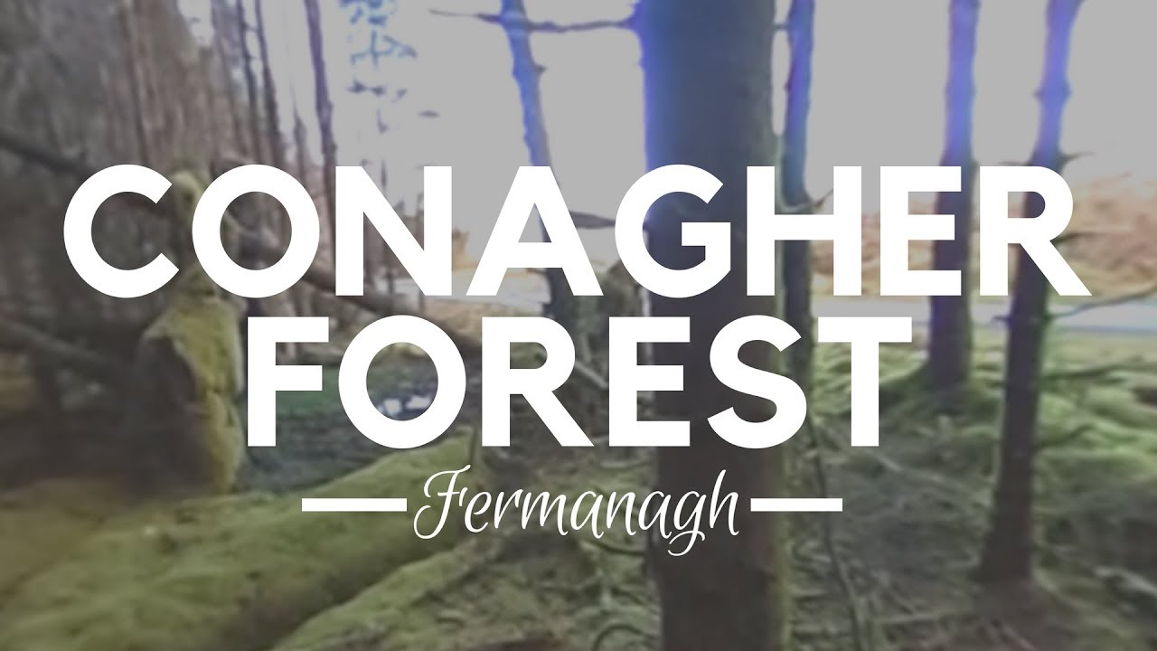 Conagher Forest Fermanagh, Northern Ireland