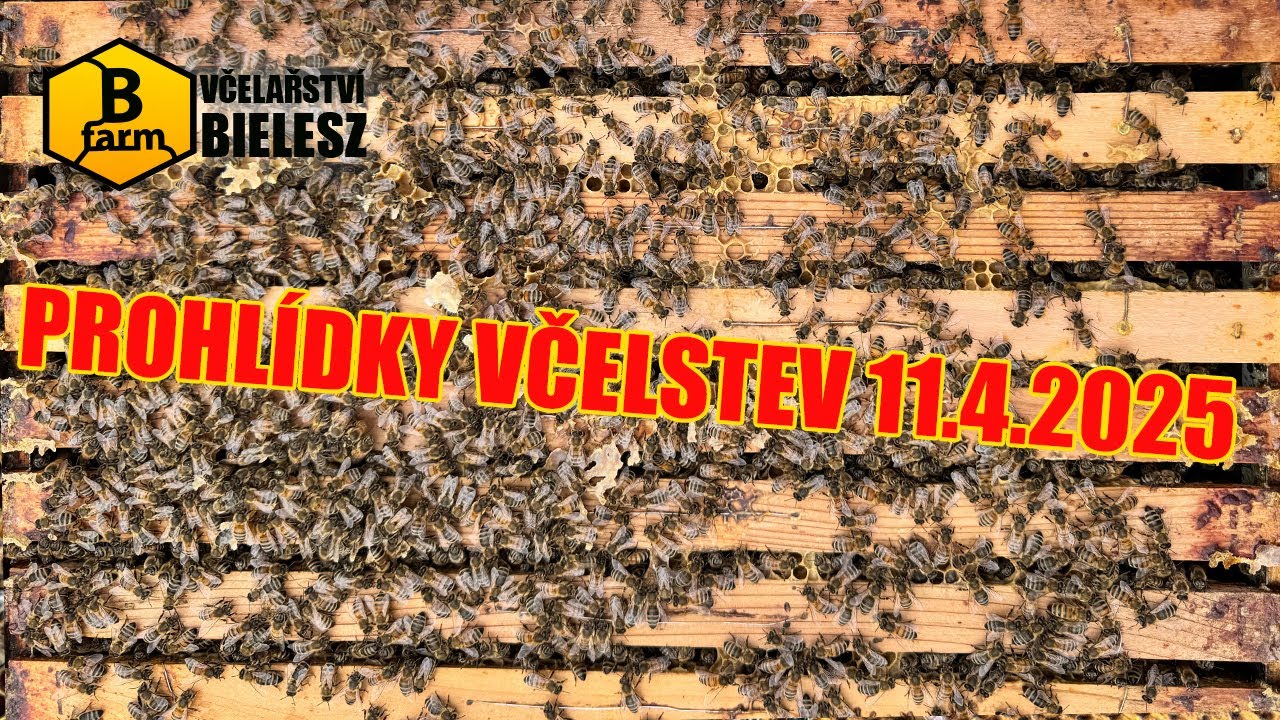 Prohlídky včelstev 11. 4. 2025 – vedení včel během sezóny