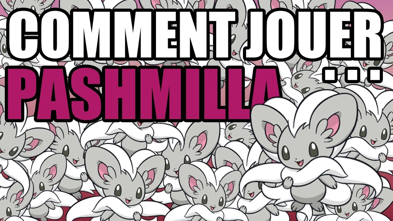 Comment jouer... Pashmilla ?