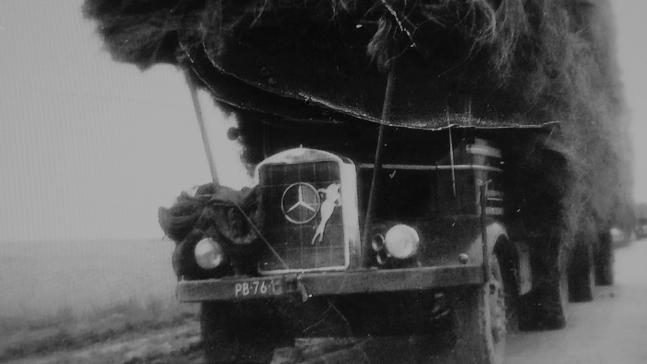 Vrachtwagens 1950/2006