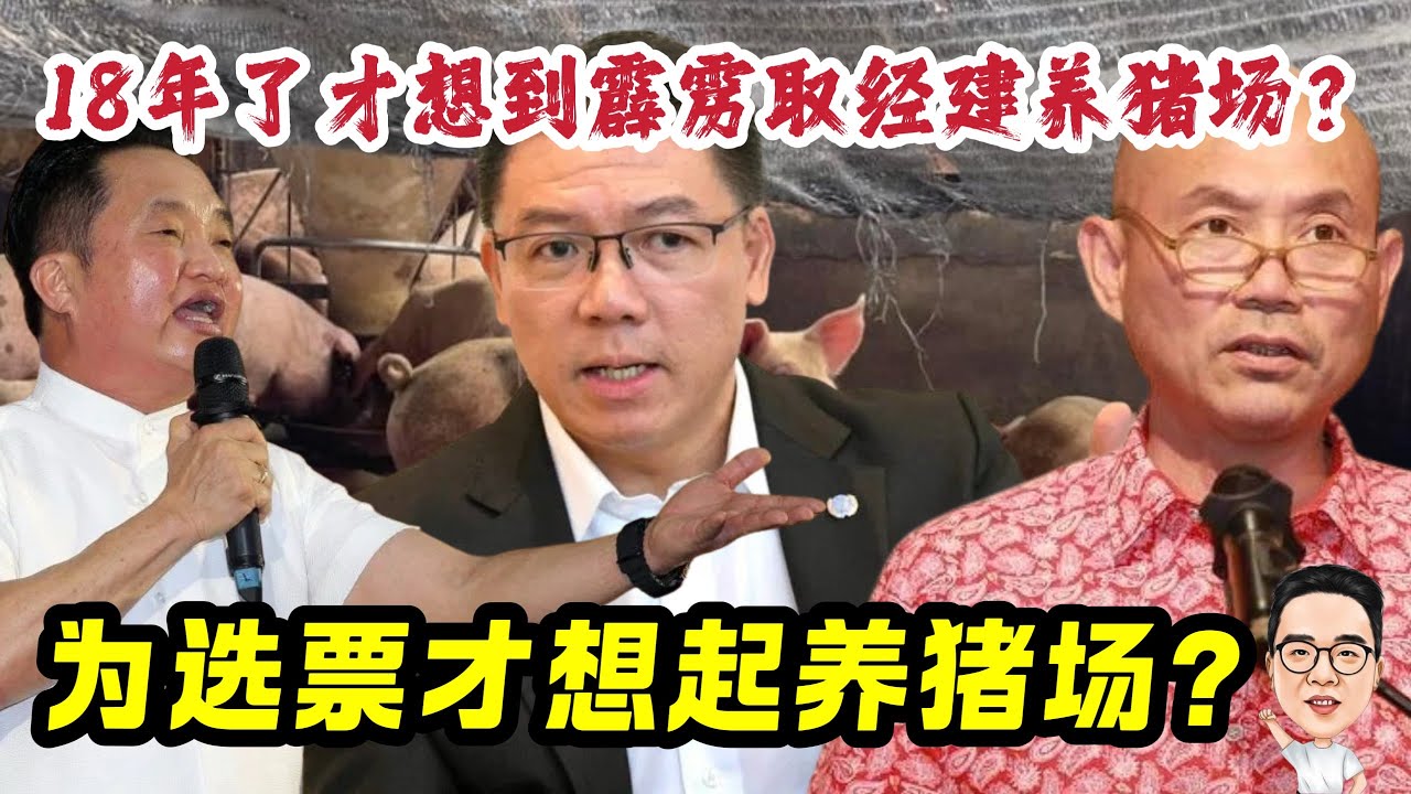 为了选票才想到养猪场课题需解决？ 16.03.2026 @etchannel622 