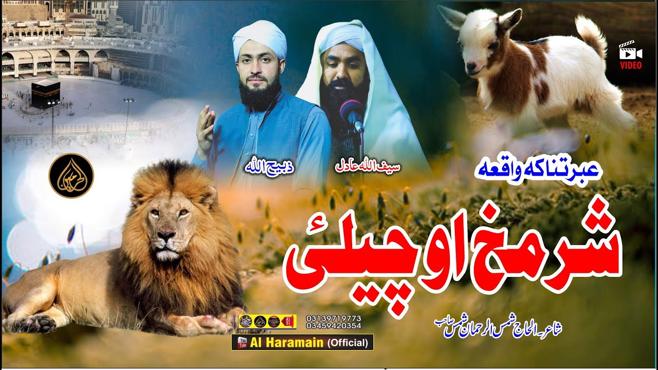 Saifullah Adil & Zabihullah Madani  || Pashto HD 2025 Best Waqia || 2025 natona