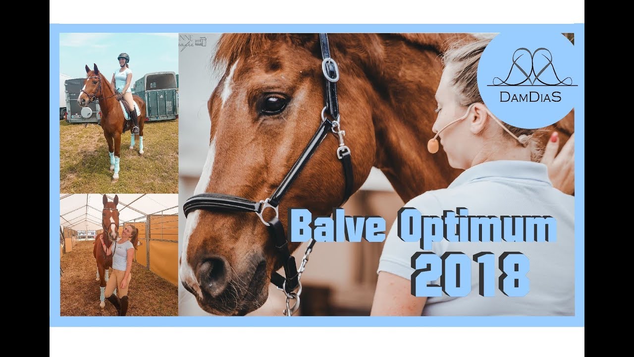 Balve Optimum 2018 - Unser Auftritt
