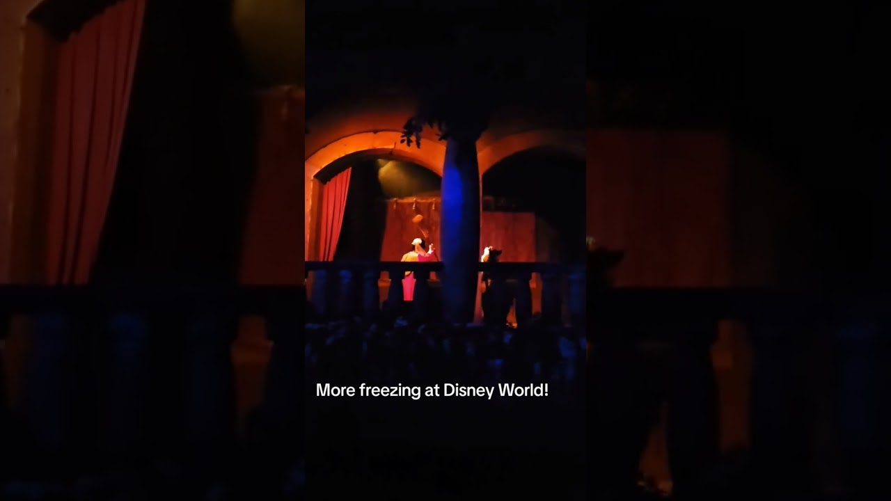 Animatronic on Pirates of the Caribbean ride are frozen. But the frozen ride has no pirates.