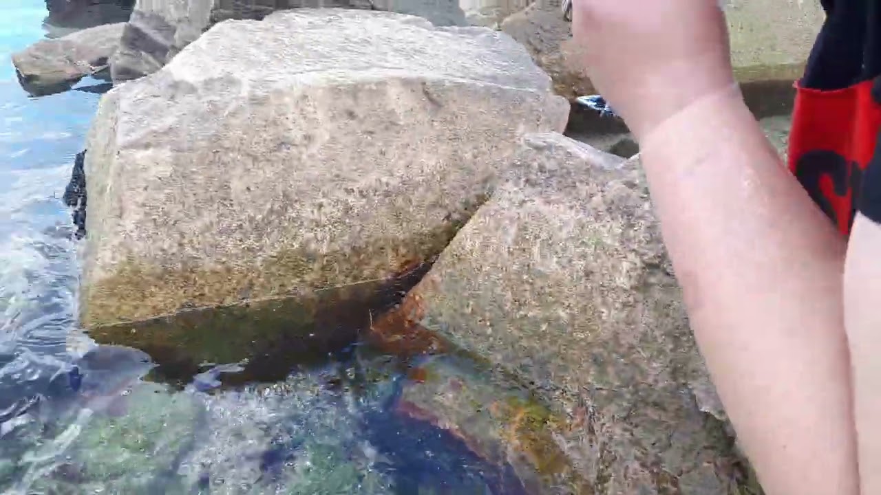 ловись рыбка #youtube #youtubeshorts #life #camping