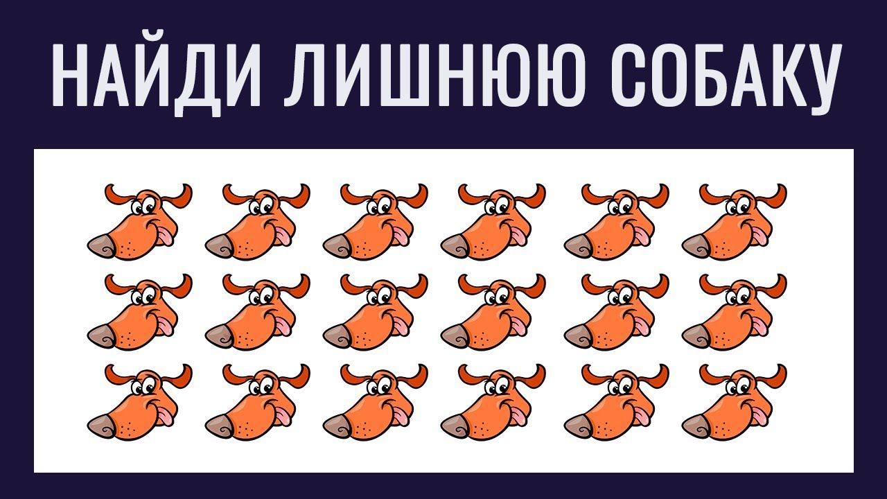 ПРОЙДИ нереальный ТЕСТ и проверь свою НАБЛЮДАТЕЛЬНОСТЬ | БУДЬ В КУРСЕ TV