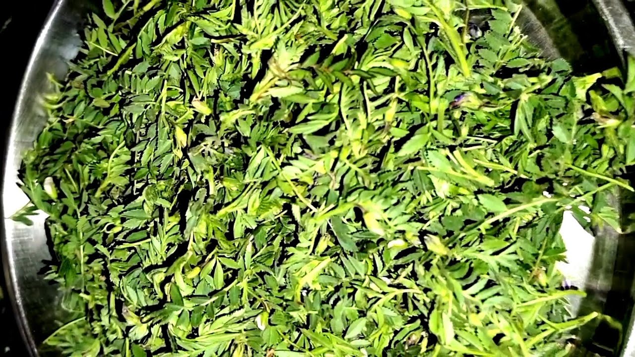 चव अशी की पुन्हा पुन्हा खावीशी वाटेल हरभऱ्याची भाजी|gavran harbhara bhaji recipe in marathi |
