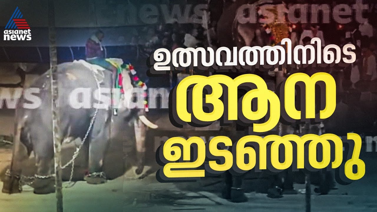 'ആന ഇടഞ്ഞടാ... ഓടെടാ ഓട്...'പുൽപ്പള്ളി സീതാദേവി ക്ഷേത്രത്തിൽ ഉത്സവത്തിനിടെ ആനയിടഞ്ഞു | Elephant