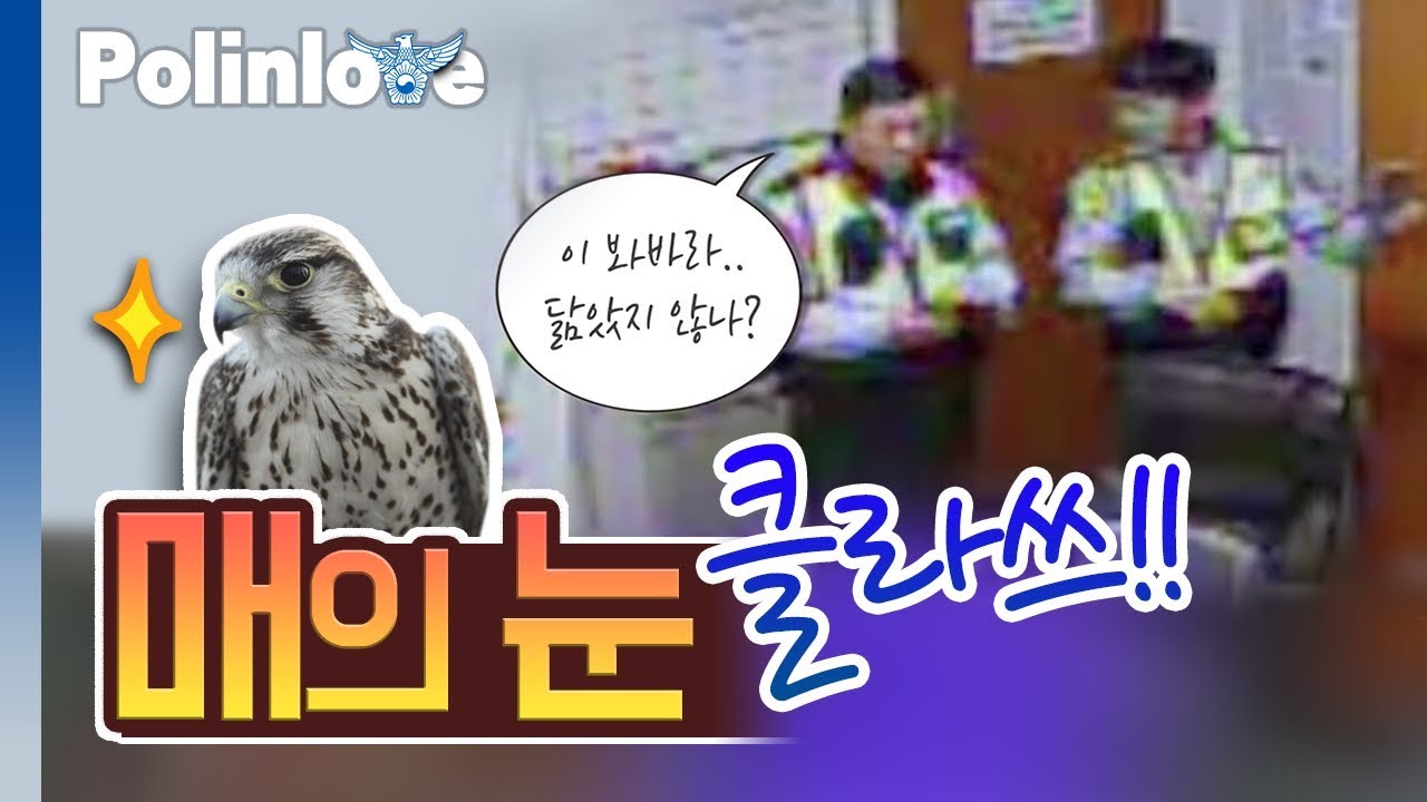 경찰관 매의 눈 클라스