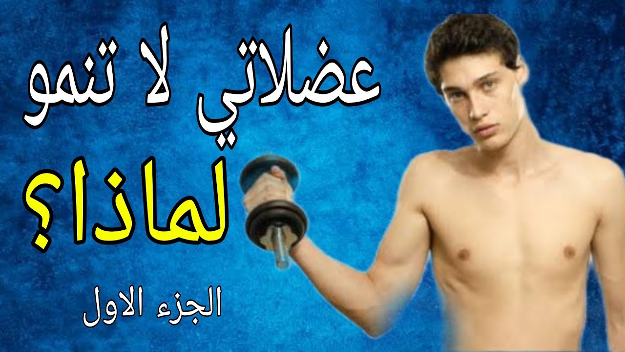 عضلاتى لا تنمو - لماذا (1) ؟ برنامج التدريب