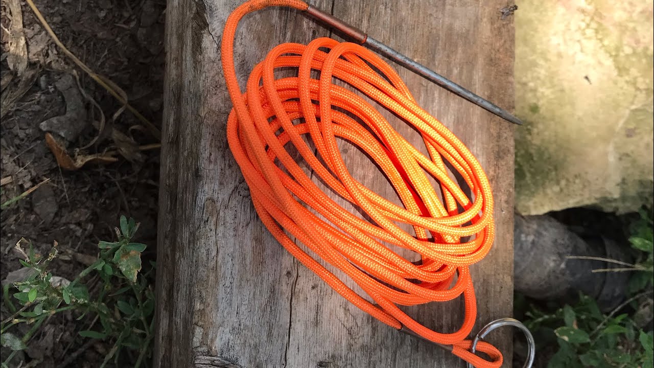 Cómo hacer una línea porta peces vivos