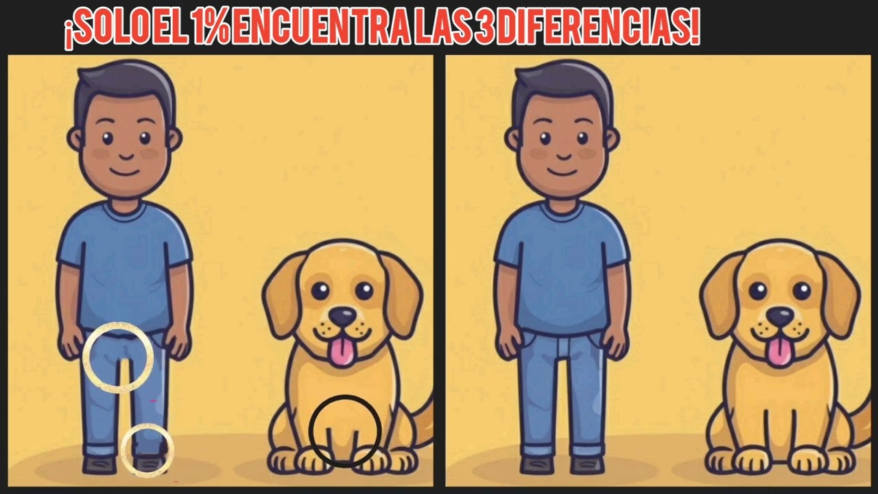¡Encuentra las 3 Diferencias en Solo 60 Segundos! 70#