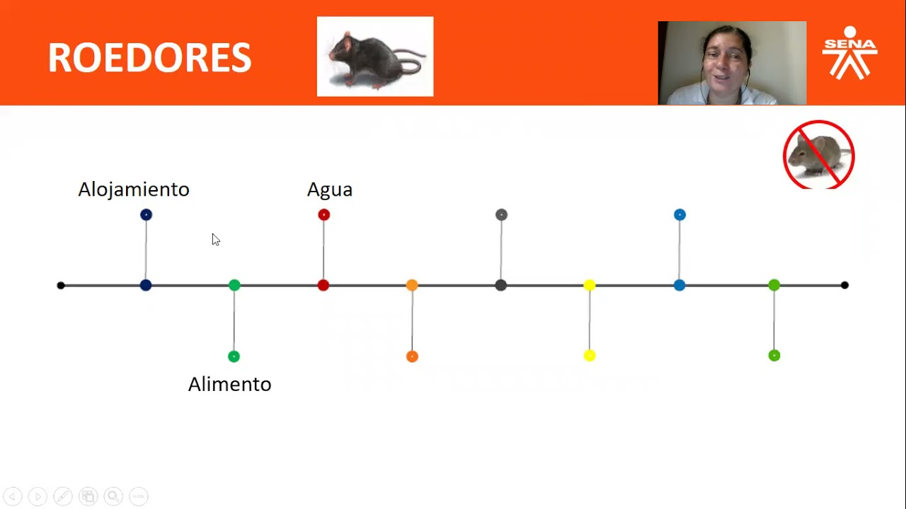 CONTROL DE PLAGAS Y ROEDORES