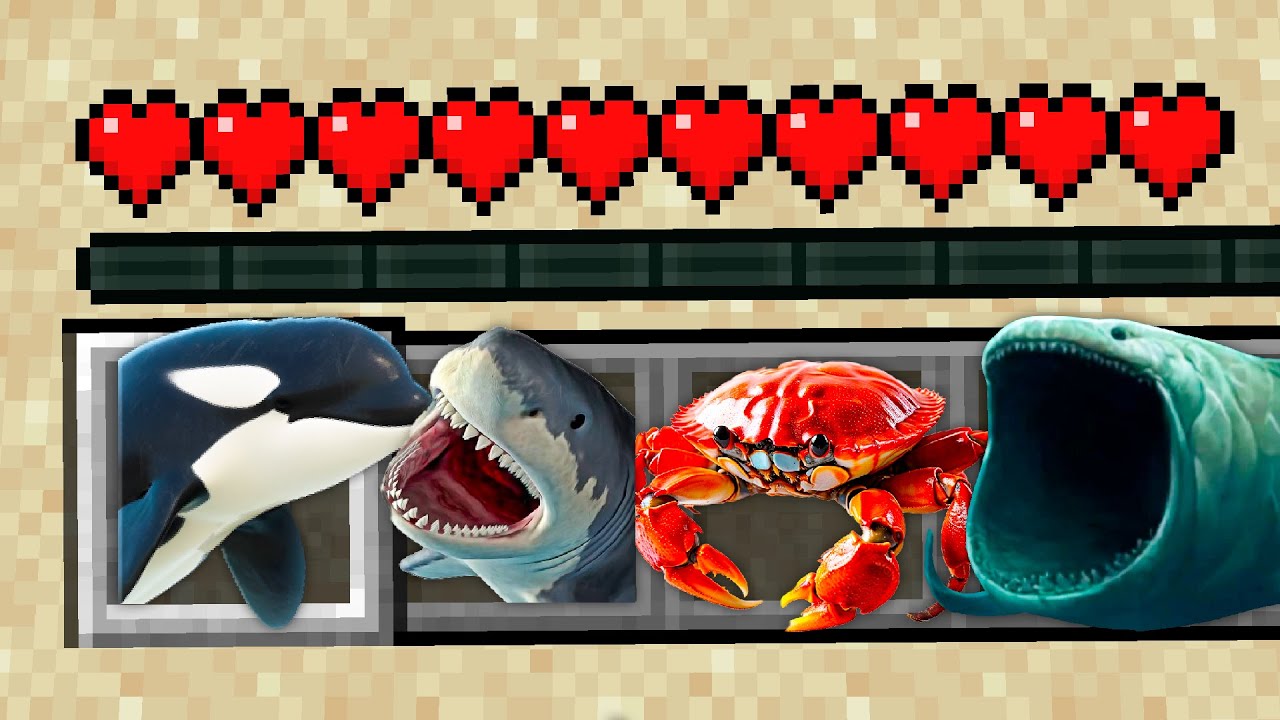 CRIATURAS DO MAR ADICIONADAS NO MINECRAFT