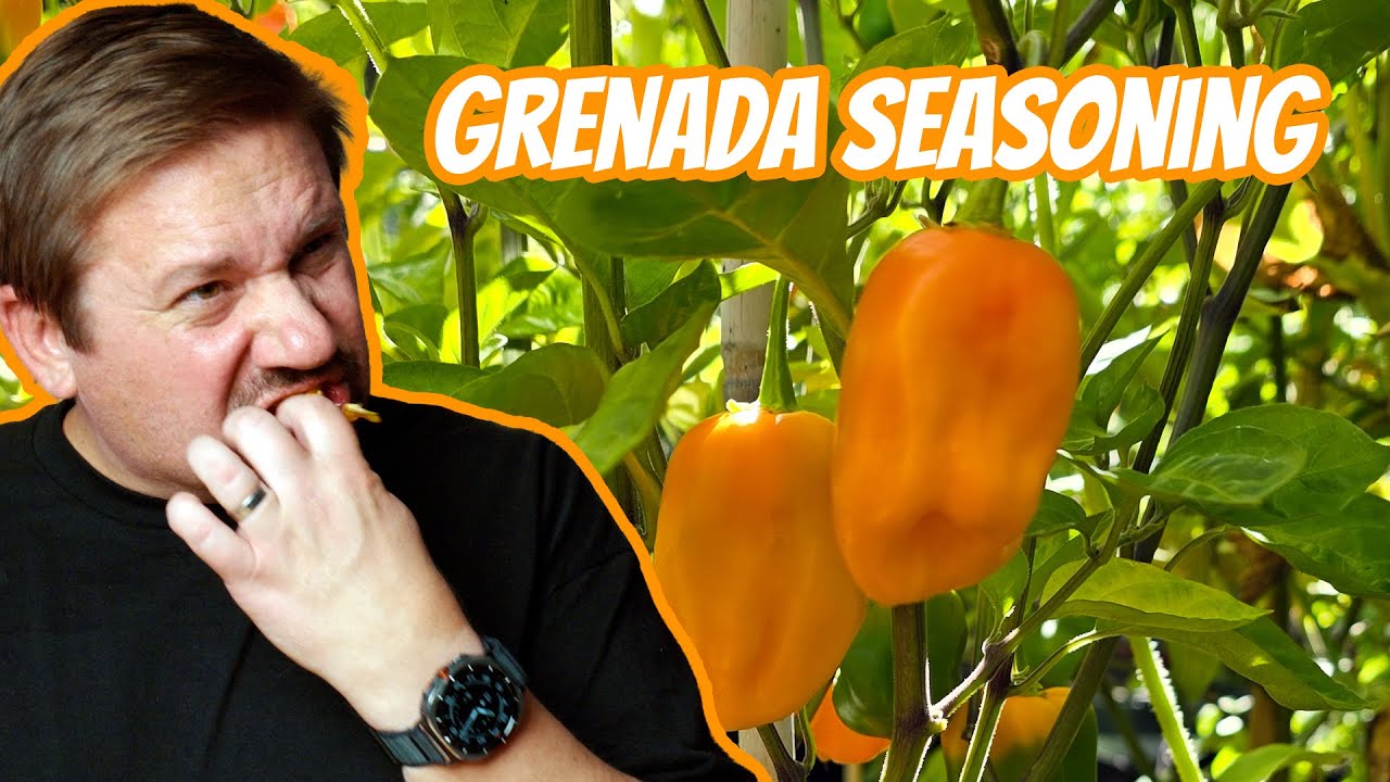A Tropical Treat | Grenada Seasoning Pepper