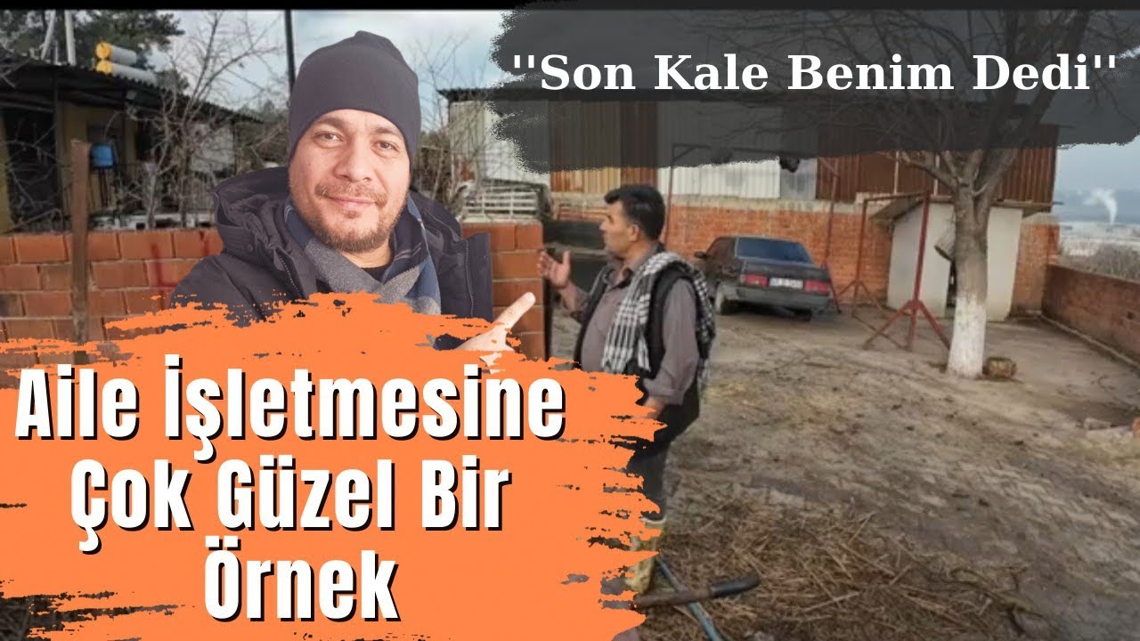 Harika Bir Aile İşletmesi...Koyunların Verimi Çok Güzel...