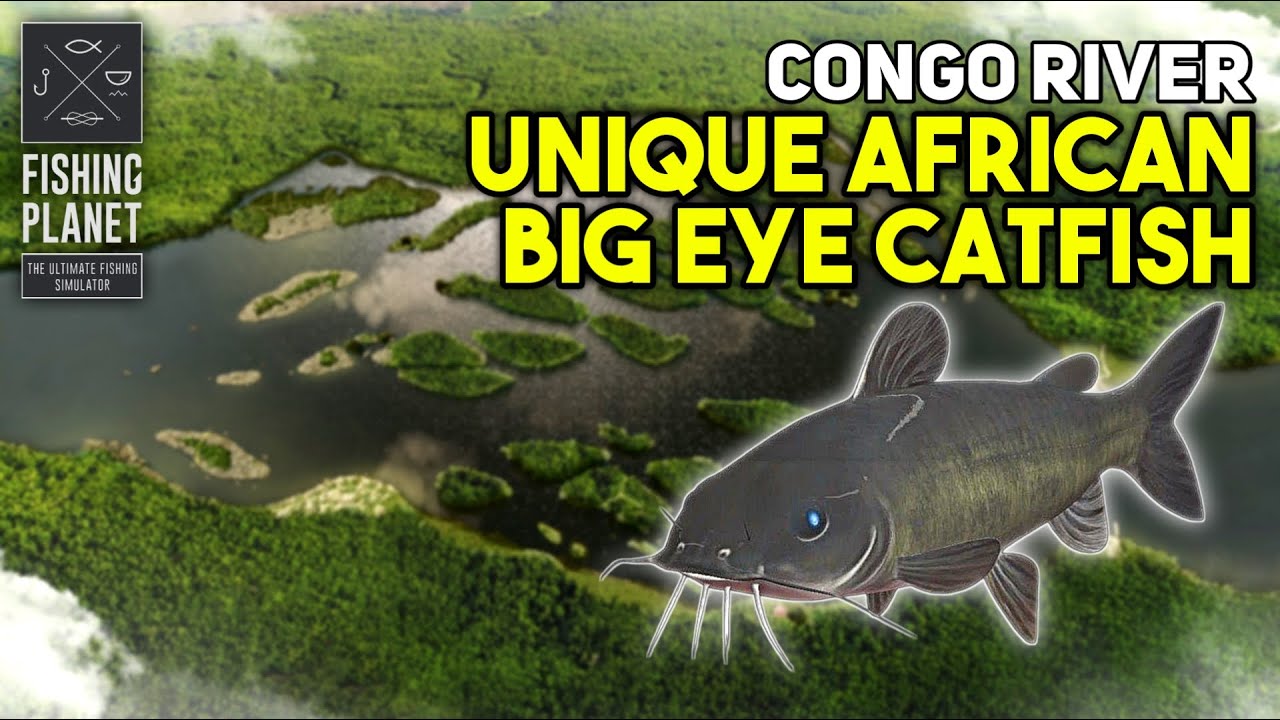 Unique African Big Eye Catfish Congo River - Fishing Planet
