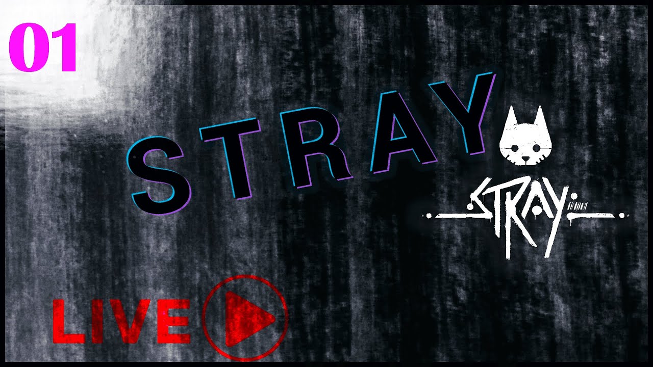 Stray - Eu acho que vi um gatinho