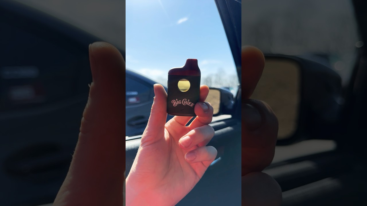Taking a blinker off my Big Chief disposable vape 💨