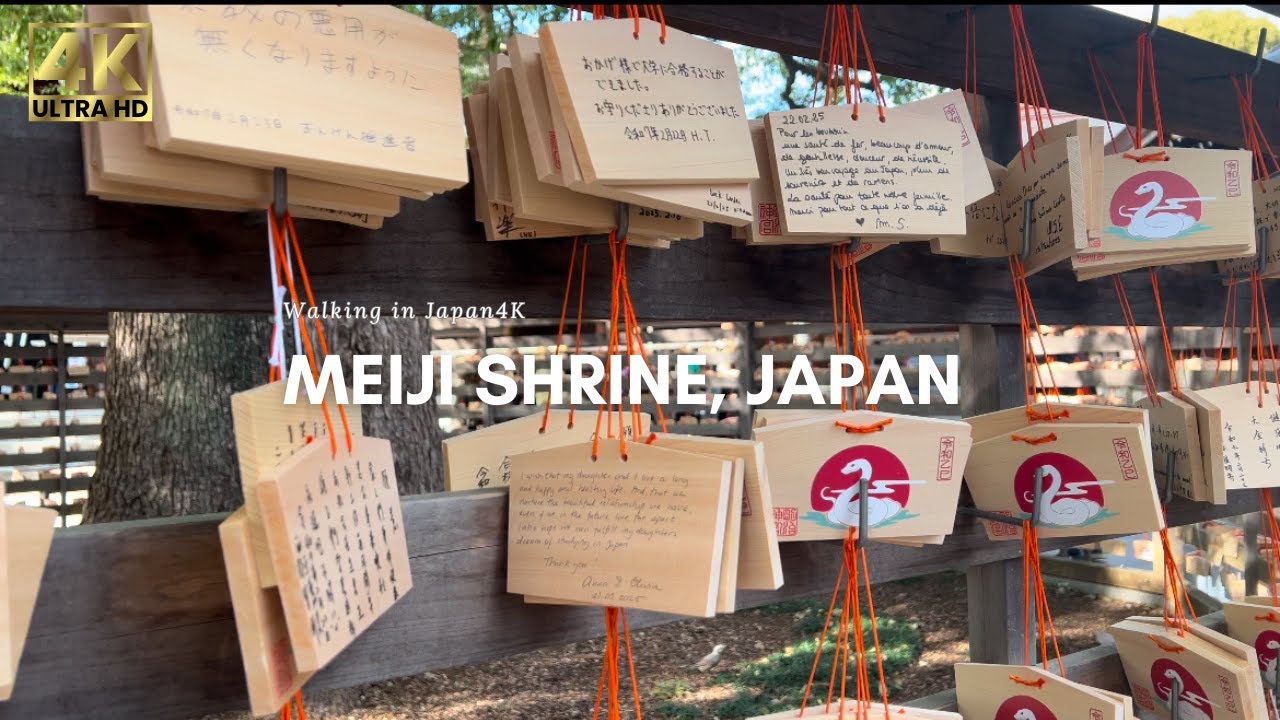 Exploring Meiji Shrine in Winter | Peaceful Tokyo Walk