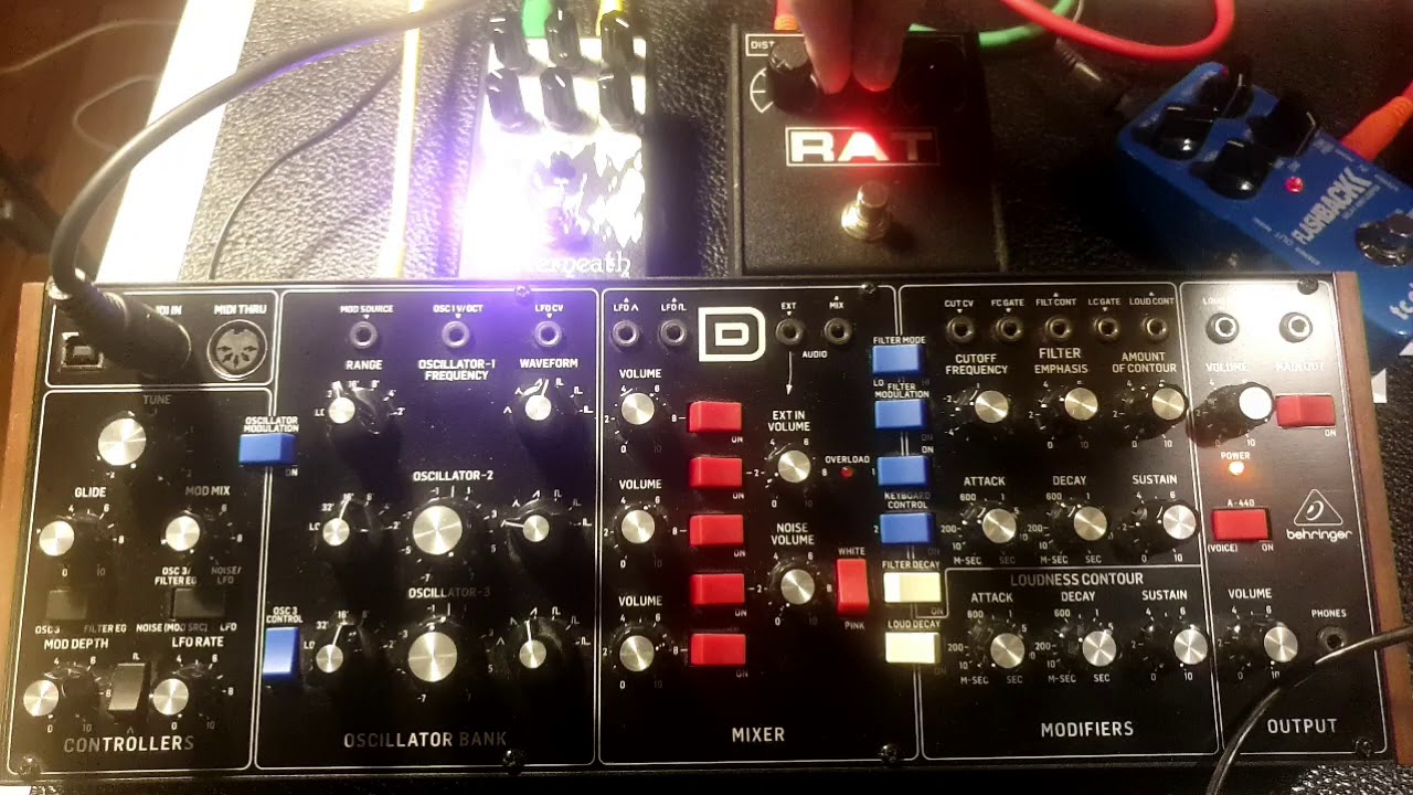 Techno with the Behringer Model D by Anml Mthr