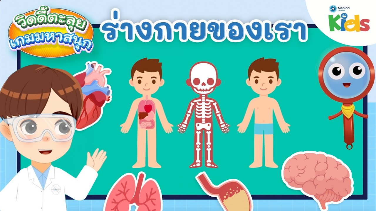 ร่างกายของเรา | วิดดี้ตะลุยเกมมหาสนุก