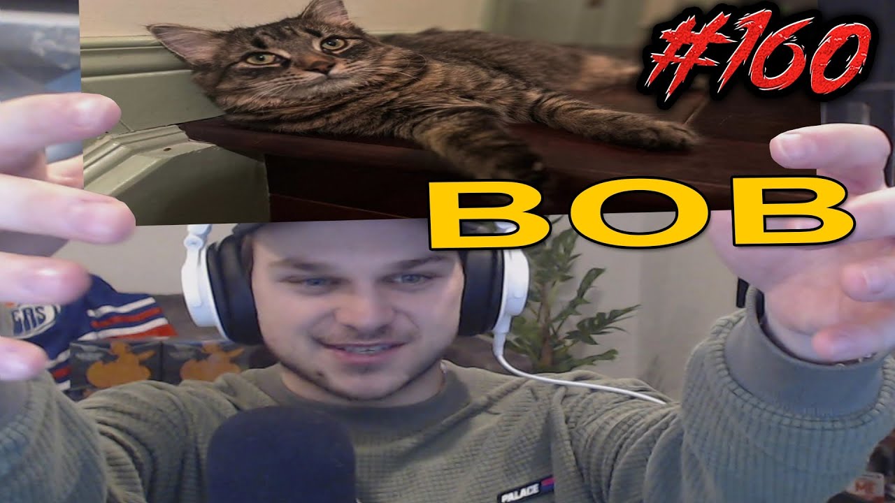 BLARG NEW CAT (he name a bob) !!!!!!!!!!! - GOONS #160